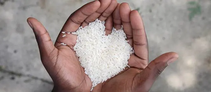 Cibo per tutti, Expo lancia la generazione "fame zero"