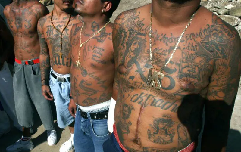 Tra Trinitarios e MS13 così i latinos terrorizzano Milano