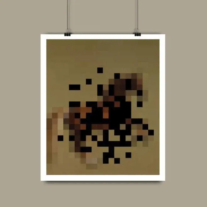 Immagine gallery