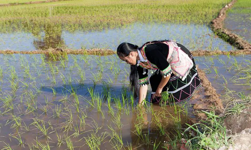 "L'altra metà della Terra", eventi e incontri per le Women's Weeks