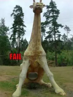 Immagine gallery