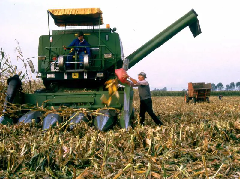 Vivere nell'Oceano padano. Dove ogni borgo è un'isola