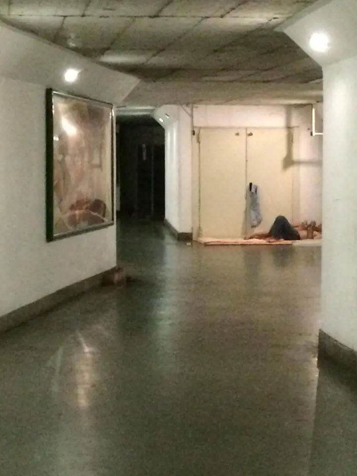Immagine gallery