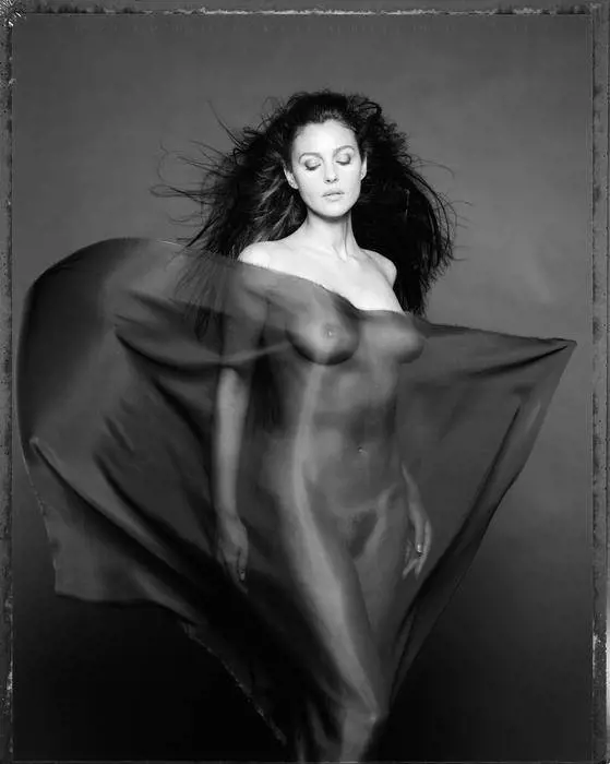 Immagine gallery