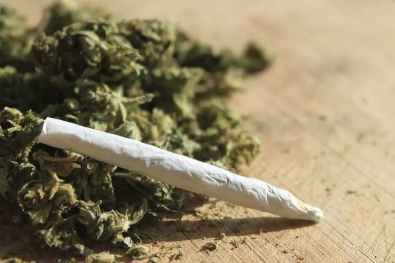 Lo sballo è Amnèsia, la droga che paralizza Ed è boom tra i giovani