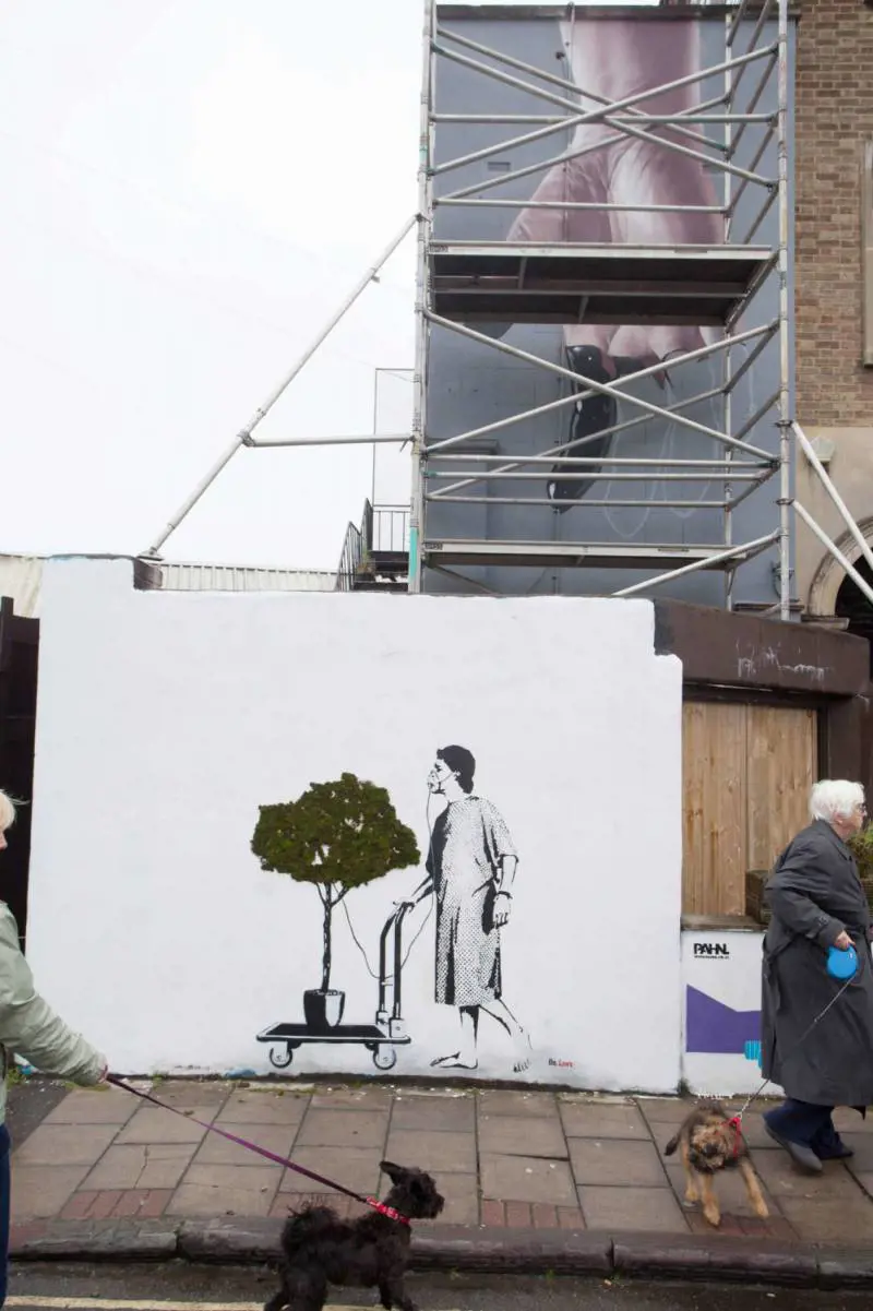 Immagine gallery