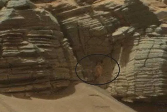 Le strane foto di Marte che fanno discutere gli ufologi
