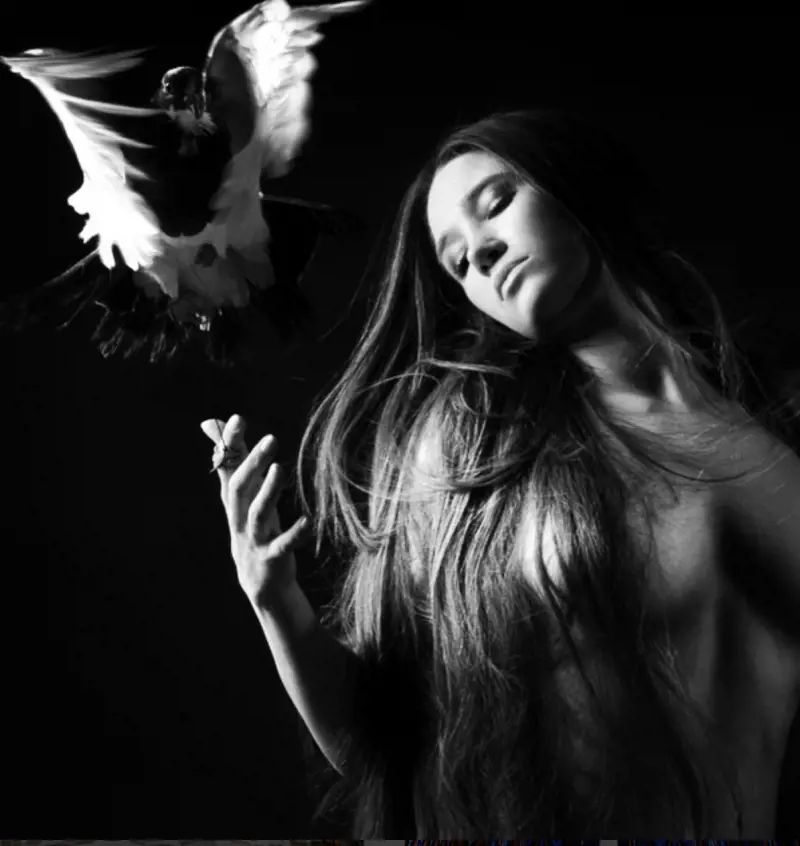 Immagine gallery