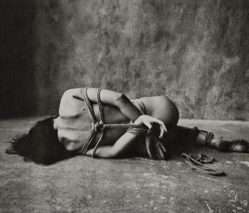 Immagine gallery