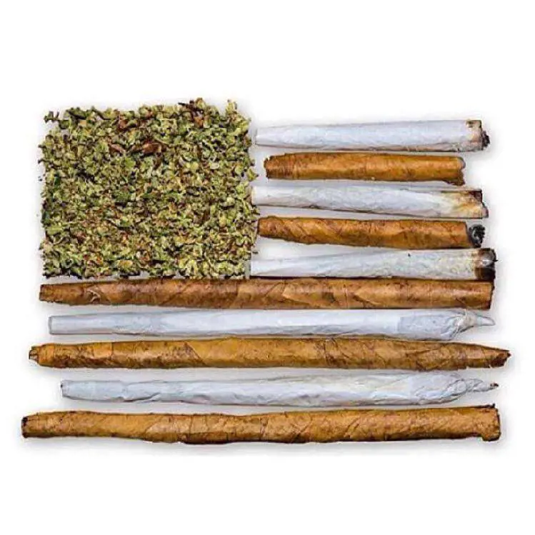 Controverso studio sulla marijuana: "Una canna non vi renderà stupidi"