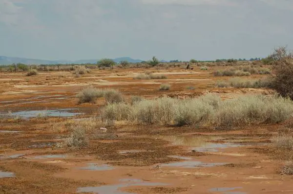 Caldo, il Cnr lancia l'allarme: "Italia rischia desertificazione"
