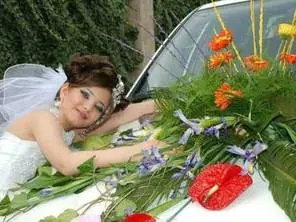 Immagine gallery