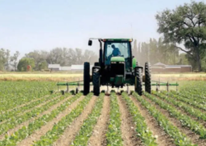 Sorpresa, ora è l'agricoltura a rubare le braccia agli altri