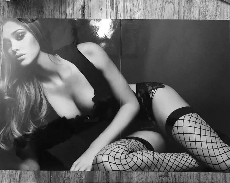 Immagine gallery