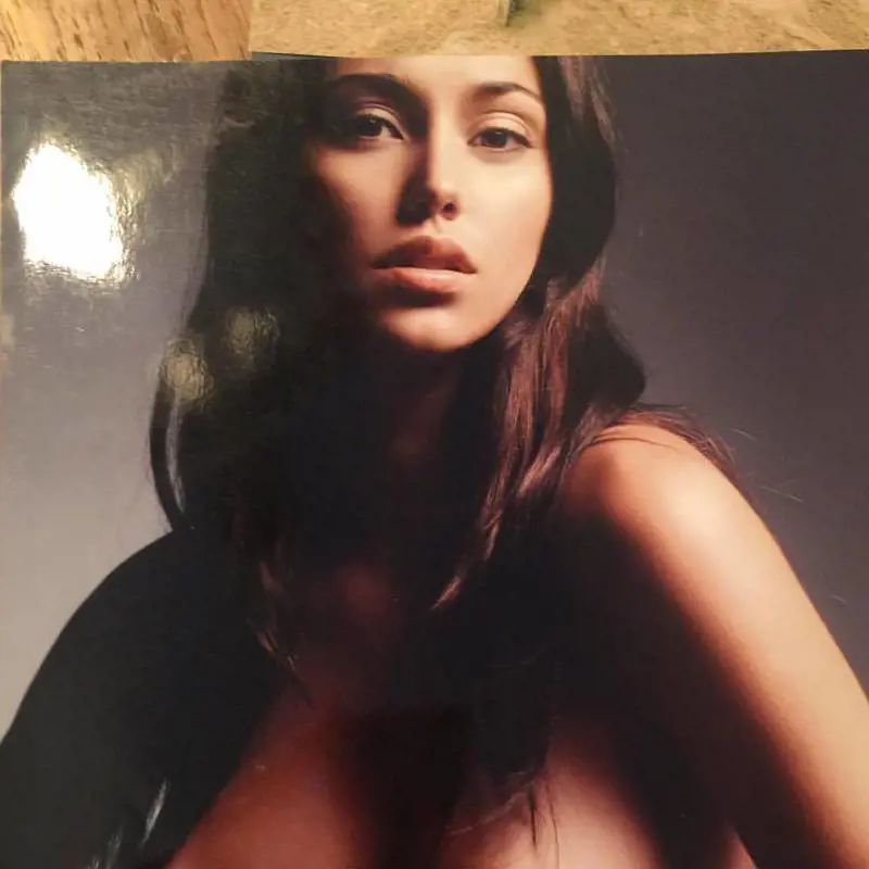 Immagine gallery