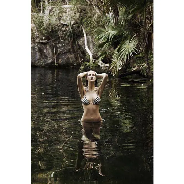 Immagine gallery