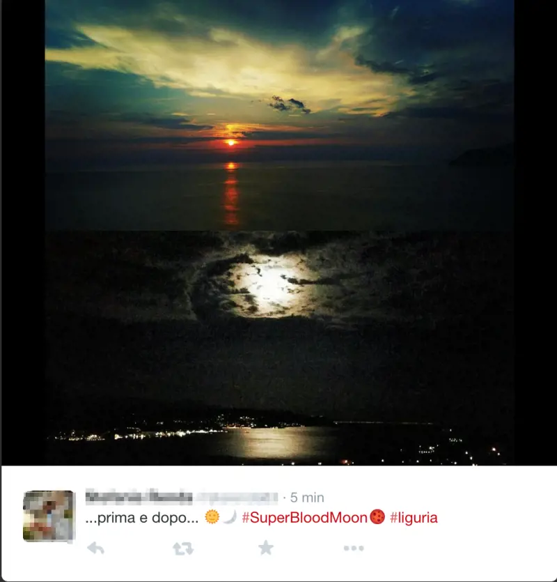 Immagine gallery