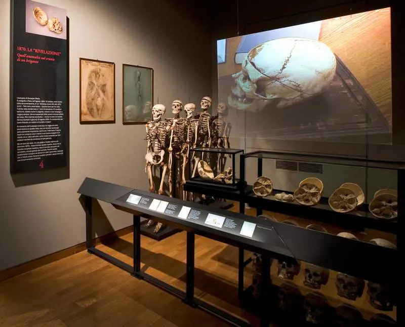 Immagine gallery