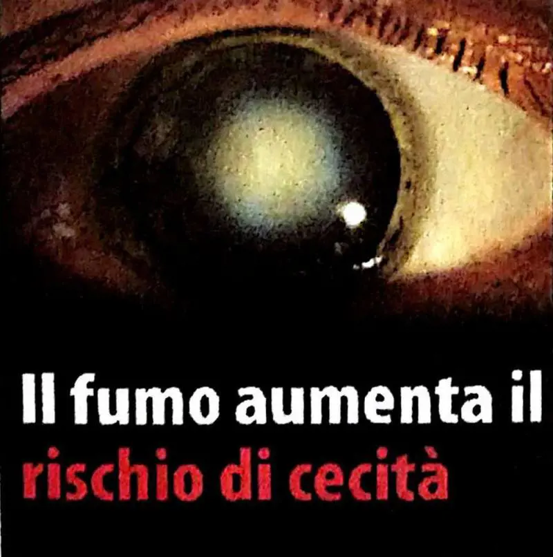 Immagine gallery