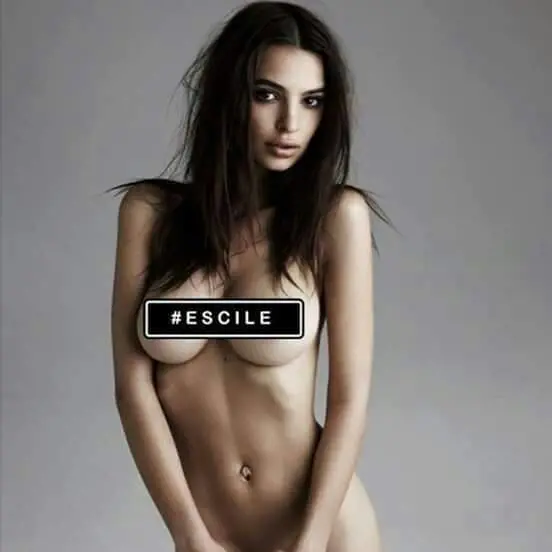 Immagine gallery