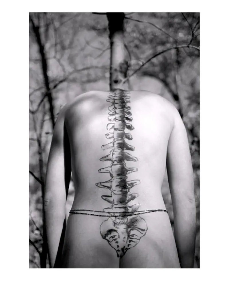Immagine gallery