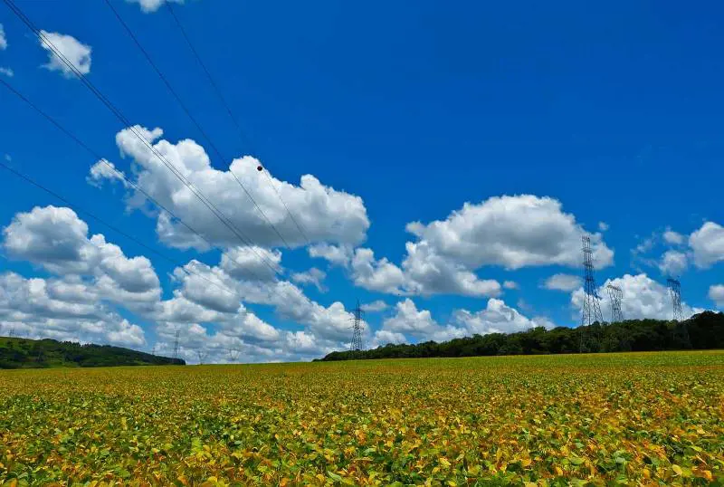 L'autunno tarda ad arrivare: "Un'anomala ondata di caldo"