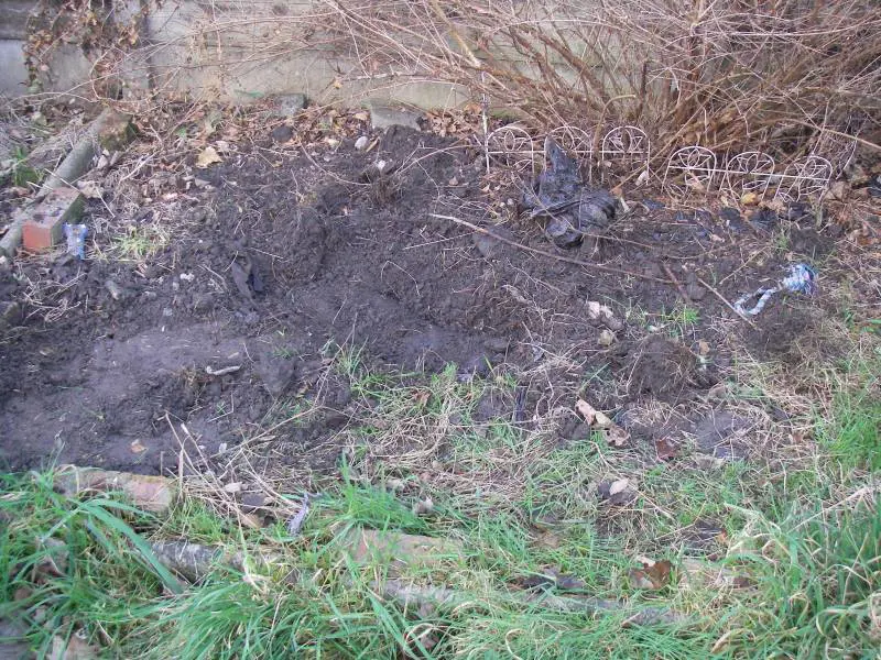 Seppelliscono feto in giardino, fidanzatini indagati a Padova