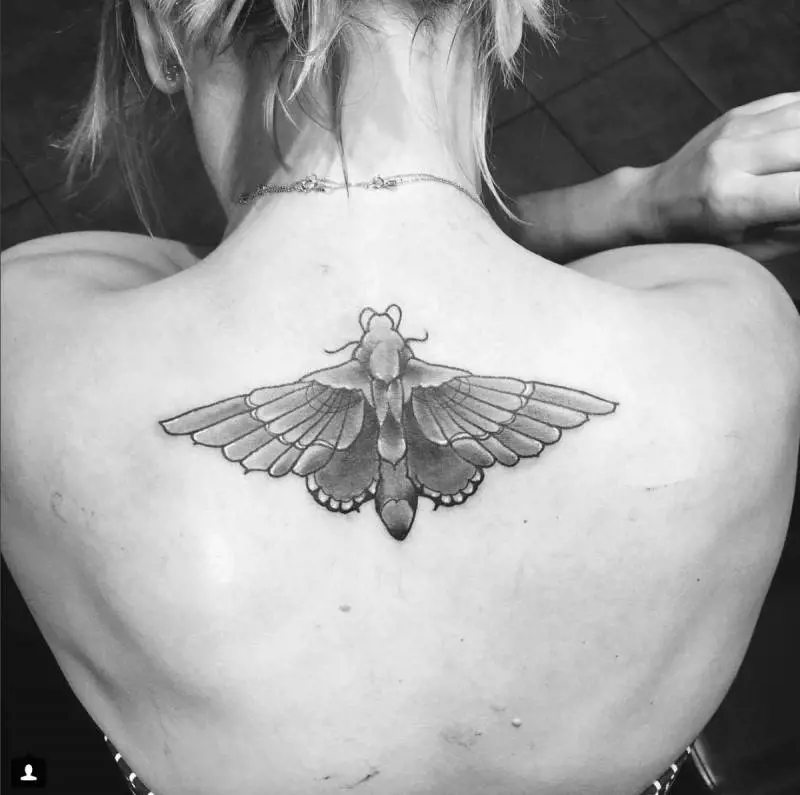 Immagine gallery