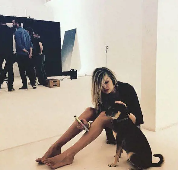 Immagine gallery