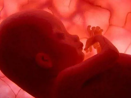 Catanoso: "L'utero in affitto è reato. Le coppie vanno fermate al rientro"