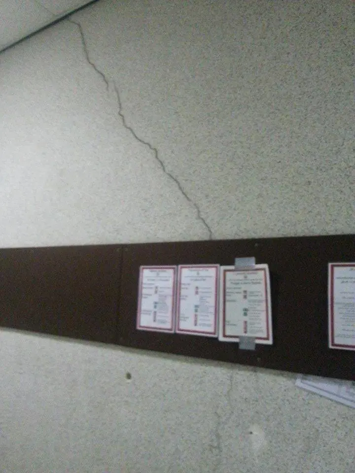 Immagine gallery