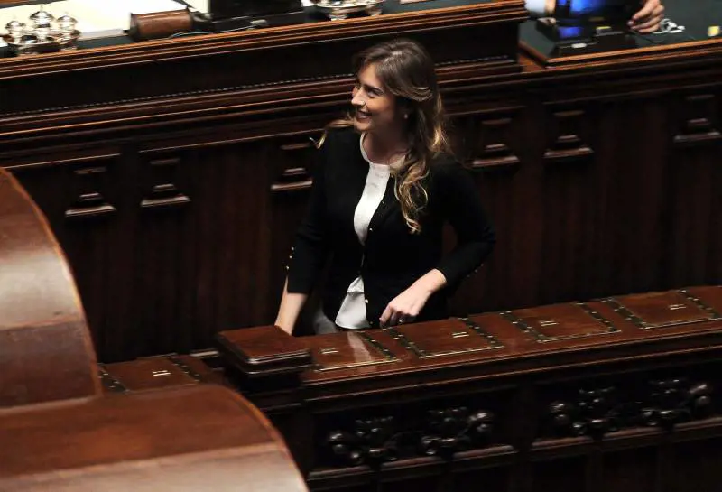 Boschi, bugia e omissioni
