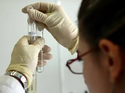 Tumori, uno studio dimostra l'importanza dello stile di vita