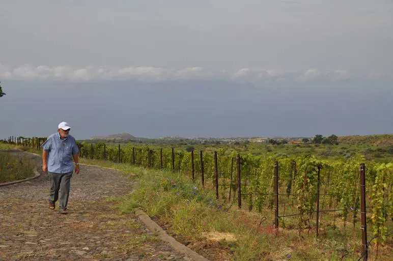 "Le mie bottiglie di vino aiutano a guarire"