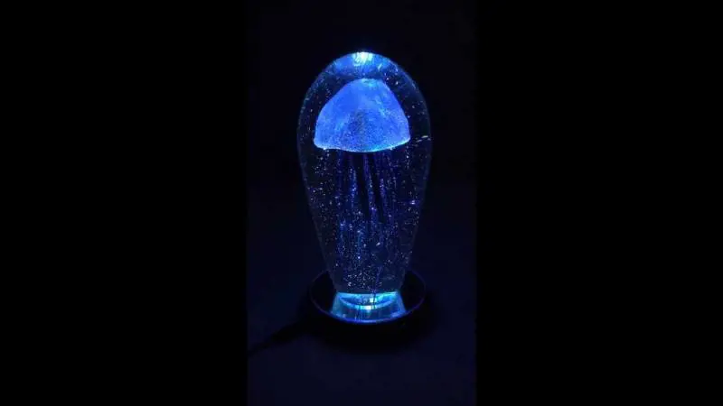 I gadget della tortura Lampade e gioielli con meduse sigillate