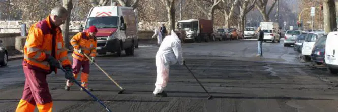Roma, l'emergenza del guano e il rischio tbc