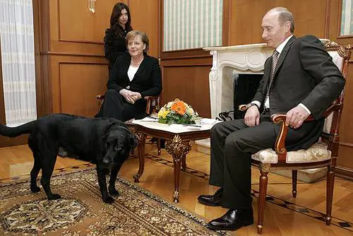 Putin: "Non volevo spaventare Merkel con il mio labrador"