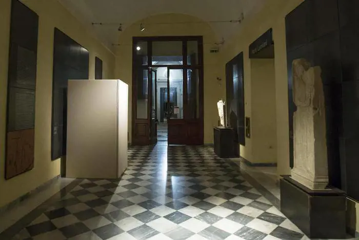 Immagine gallery