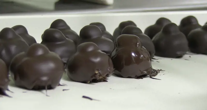 Luisa Spagnoli, l'arte del cioccolato: "Il mio 'Bacio' con ricette originali"