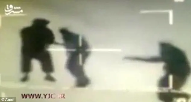 Iran, cecchino uccide sei terroristi, ma è una sessione di Medal of Honor