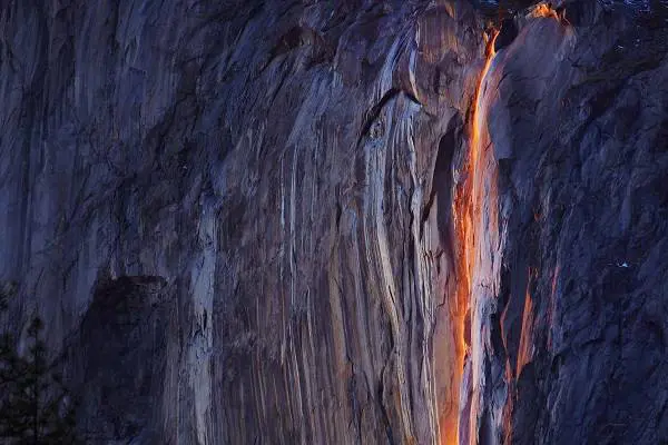Immagine gallery