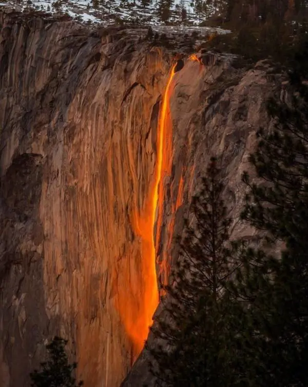 Immagine gallery