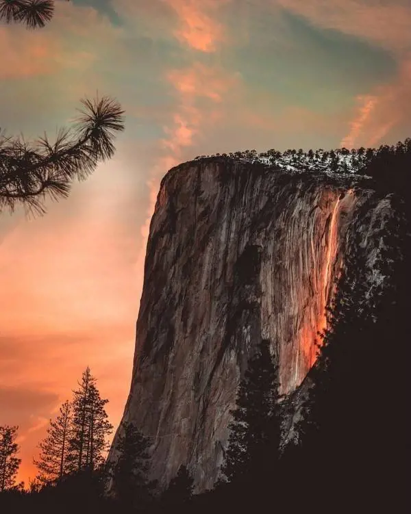 Immagine gallery