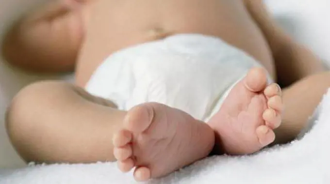 Dieta vegana alla neonata. E il medico li denuncia: "La bambina non cresce"
