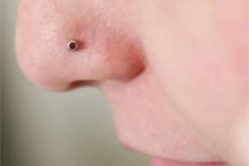 La studentessa del liceo ha piercing. Il prof: "Coprilo o te ne vai dall'aula"