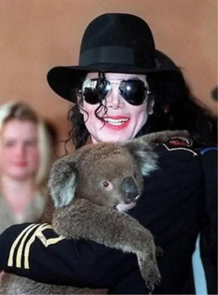Immagine gallery