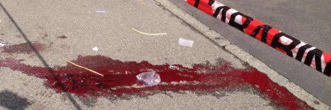 Germania, un anziano è "jack lo squartatore" In casa trovati pezzi di cadavere