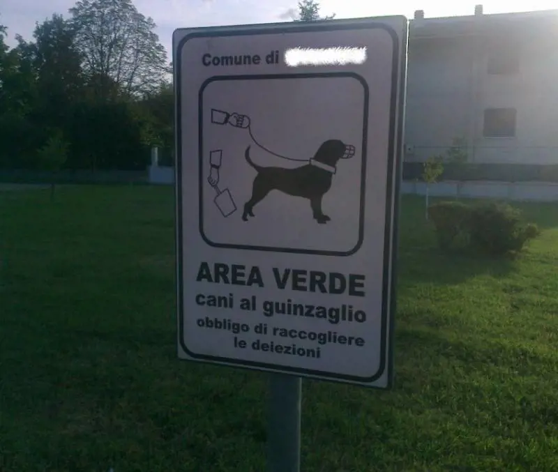 Ferrara, due italiane aggredite da un branco di stranieri spacciatori