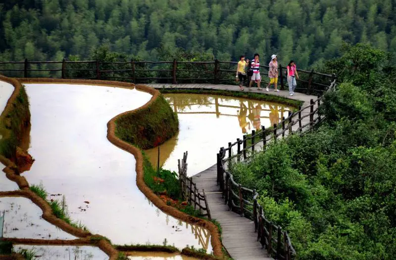 Immagine gallery