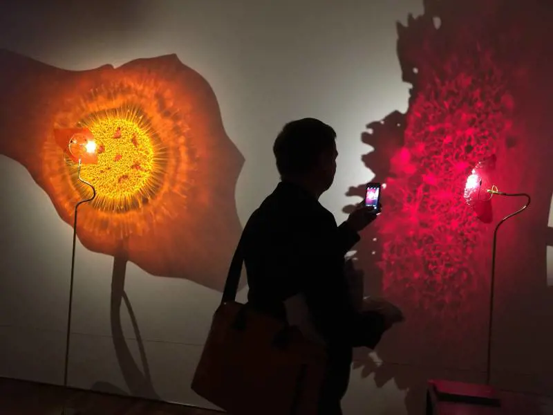 Immagine gallery